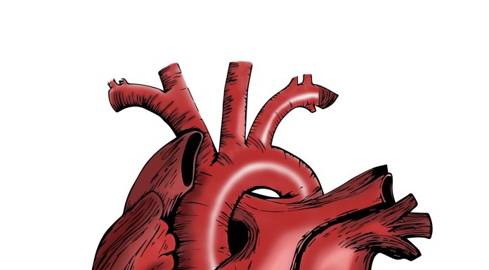 Some advantages, potential dangers with different medicines for coronary heart failure