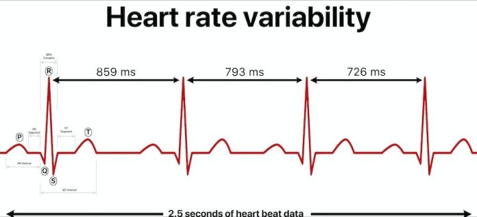 heart-rate-variability-1.jpg