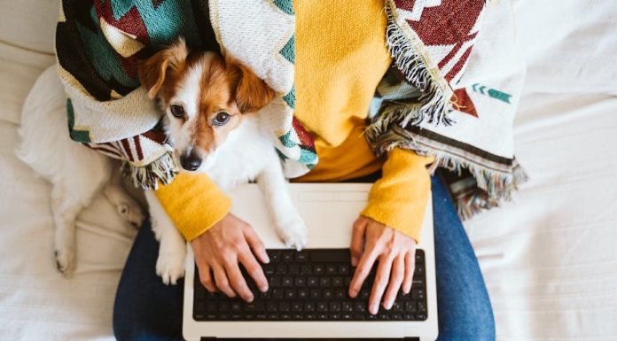 Methods to keep heat while you’re working from residence (with out turning the heating on)