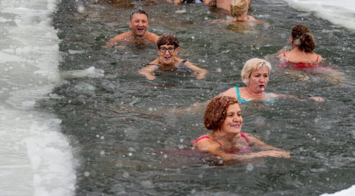 Chilly-water swimming skilled shares ideas and knowledge