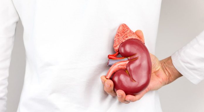 Organ transplantation dangers: Pay attention to the probabilities