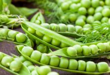3 unwanted effects of consuming inexperienced peas on a regular basis