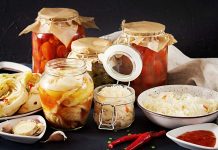 Are probiotic meals higher than fermented meals?