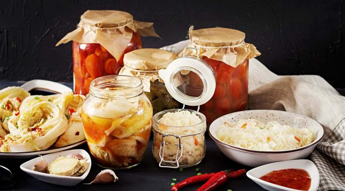 Are probiotic meals higher than fermented meals?