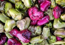 Water chestnut: 5 well being advantages of singhara throughout winter