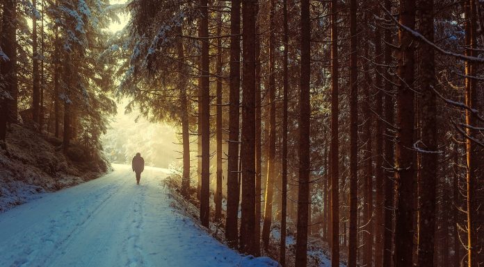 As winter approaches, seasonal melancholy might set in for tens of millions