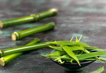 Why bamboo extract needs to be an vital ingredient in your skincare?