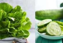 7 unfavorable calorie meals for quicker weight reduction