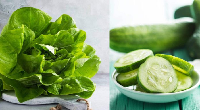7 unfavorable calorie meals for quicker weight reduction