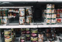 Greenback shops are rising as meals retailers within the US