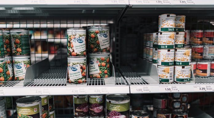 Greenback shops are rising as meals retailers within the US
