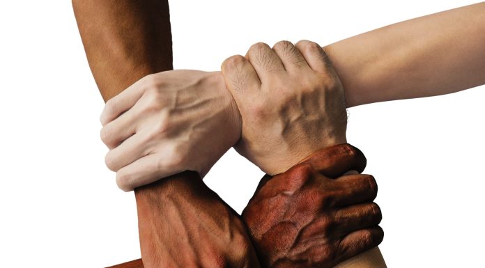 Extra cooperation wanted amongst numerous sorts of well being organizations to guard in opposition to public well being crises