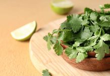 Thyroid consciousness month: 3 advantages of coriander for thyroid management