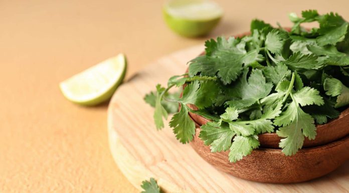 Thyroid consciousness month: 3 advantages of coriander for thyroid management