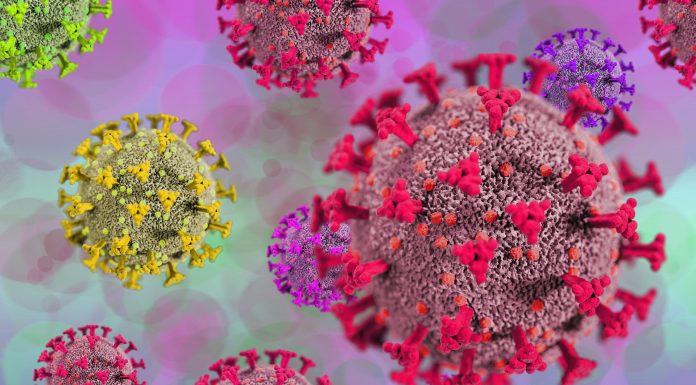 New variant will increase the danger of ‘longer COVID,’ warns professional