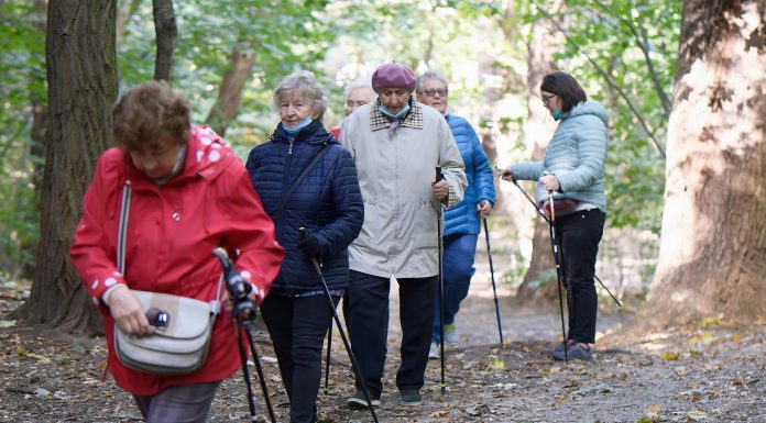 Extra steps, reasonable bodily exercise can reduce dementia, cognitive impairment danger