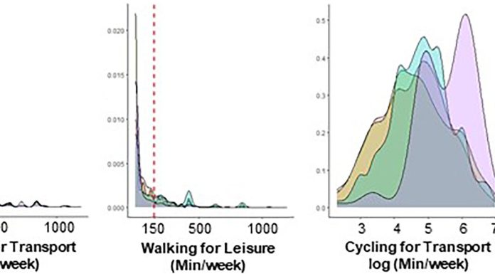 International examine identifies neighborhood traits that promote strolling and biking