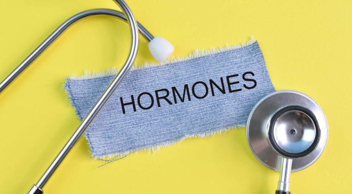 Know learn how to stability hormones naturally with these 5 ideas