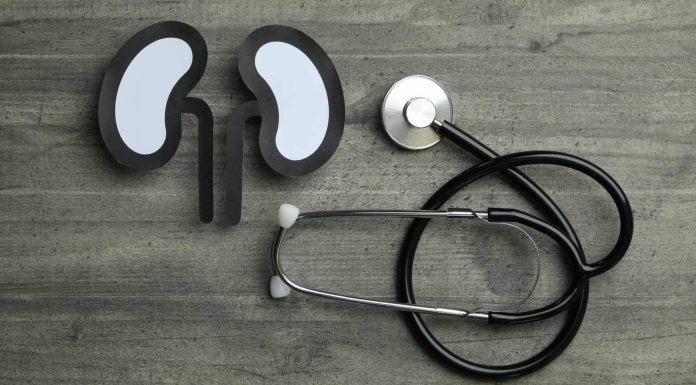 7 checks to diagnose kidney ailments after you hit 30