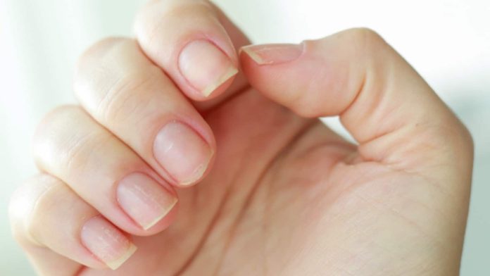 nails.jpg