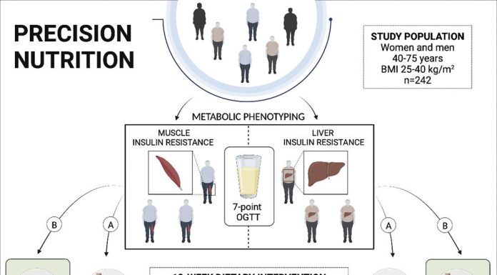 New research signifies that vitamin based mostly on one’s personal metabolism makes individuals more healthy
