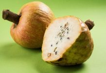 Listed below are 5 superb well being advantages of ramphal