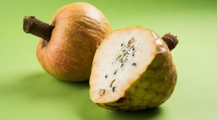 Listed below are 5 superb well being advantages of ramphal