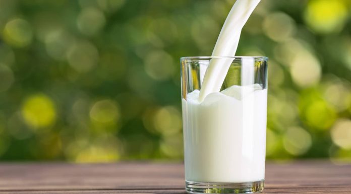 Know find out how to make skimmed milk in your weight reduction journey