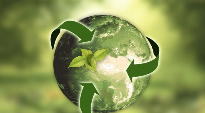 Why we want sustainability to realize public well being
