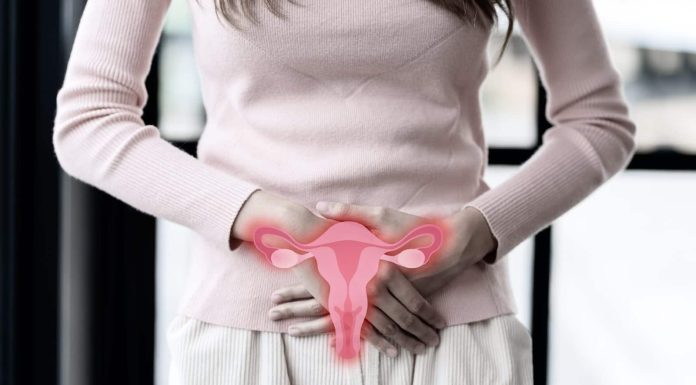 Is cervical most cancers hereditary or not?