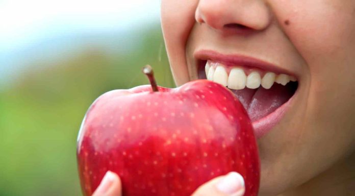 5 fiber-rich meals for weight reduction, higher digestion and lots of extra