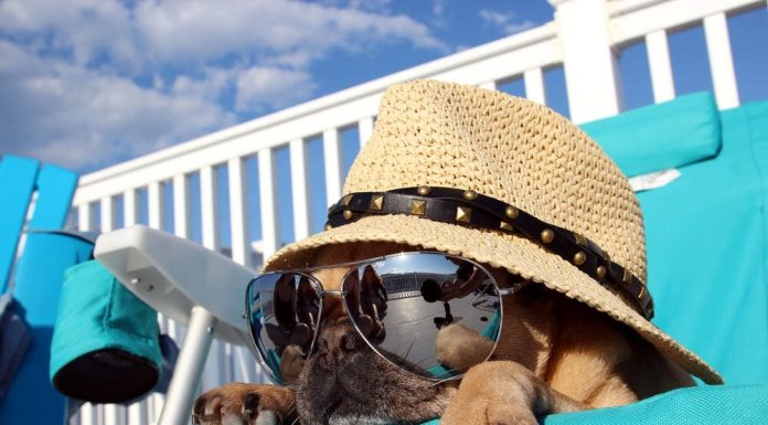 Do seashore cabanas really defend you from the solar?