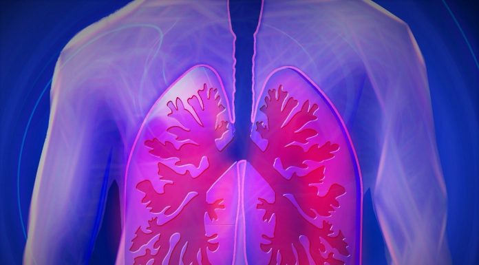 Beneficial properties might enhance endurance in these with lung circumstances