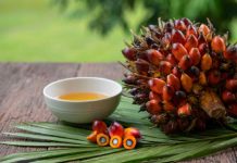 Is palm oil good for you? 7 issues to learn about it