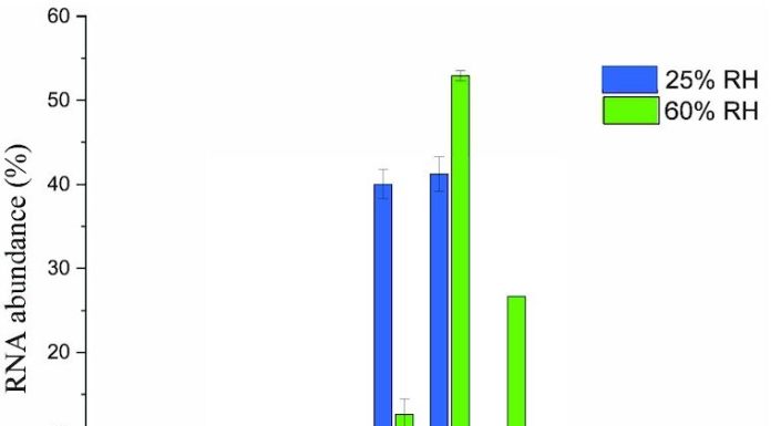 Are inclined to get sick when the air is dry? New analysis helps clarify why