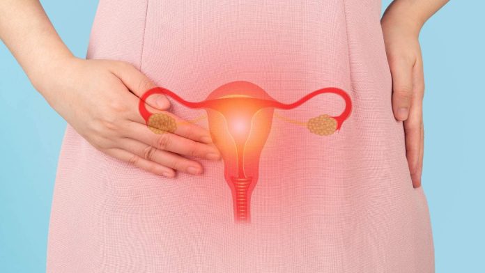 uterus2.jpg