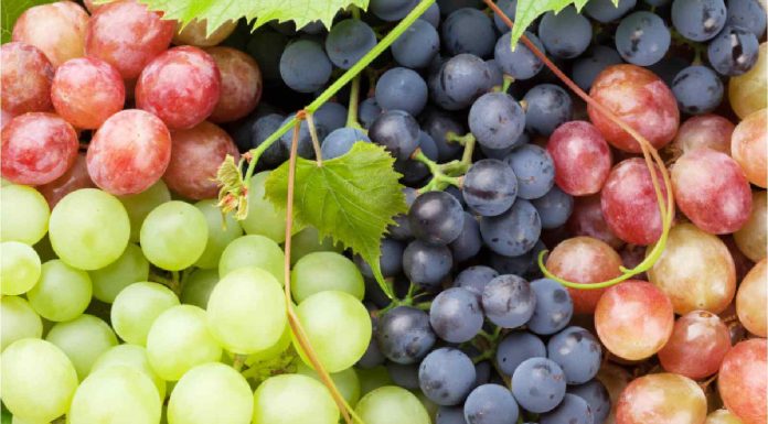 Inexperienced, black or crimson grapes: Know which is the healthiest of all of them