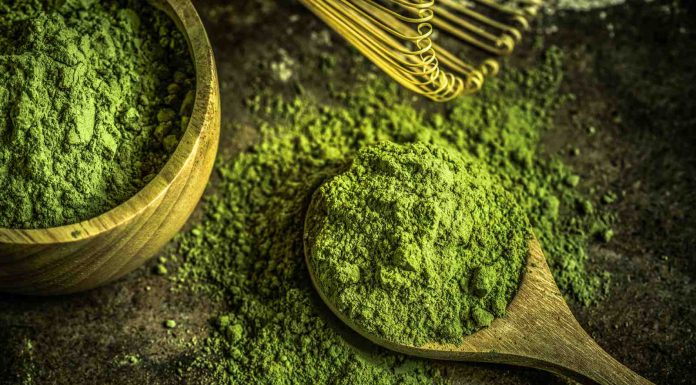 Matcha for pores and skin: Advantages and methods to make use of it