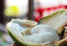 Coconut malai advantages: Know why you need to embrace it in your food regimen