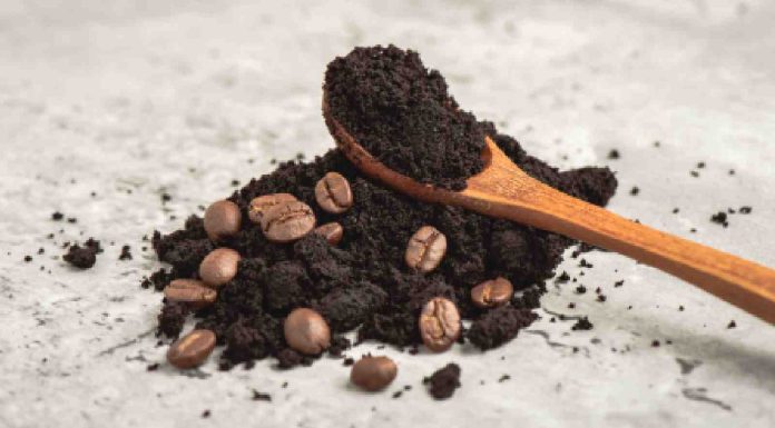 Know the advantages of espresso for pores and skin and methods to make use of it