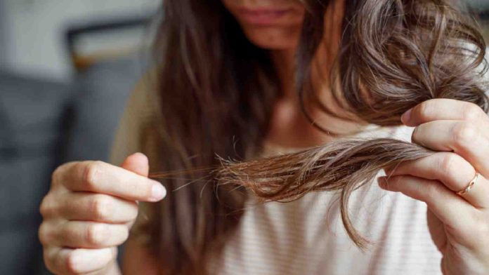 hair-breakage.jpg