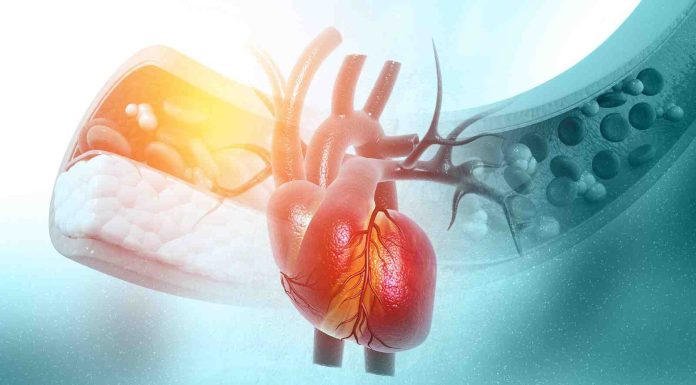 Tricks to management levels of cholesterol naturally