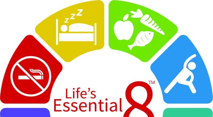 Coronary heart-healthy way of life linked to an extended life, freed from persistent well being situations