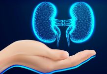 World Kidney Day: The hyperlink between water consumption and kidney well being