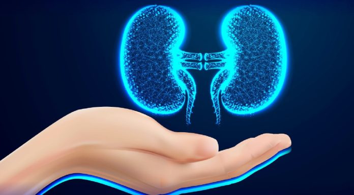 World Kidney Day: The hyperlink between water consumption and kidney well being