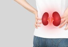 Preserve your kidney well being this summer season with the following tips