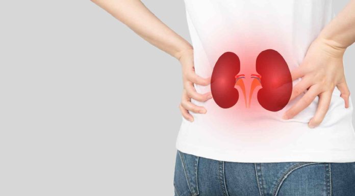 Preserve your kidney well being this summer season with the following tips