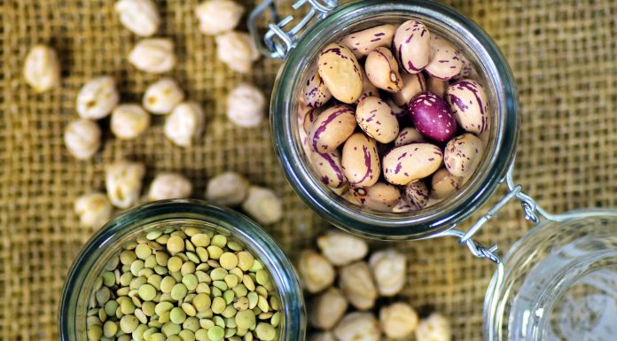 Frequent meat-free proteins might set off soybean and peanut allergic reactions in some folks