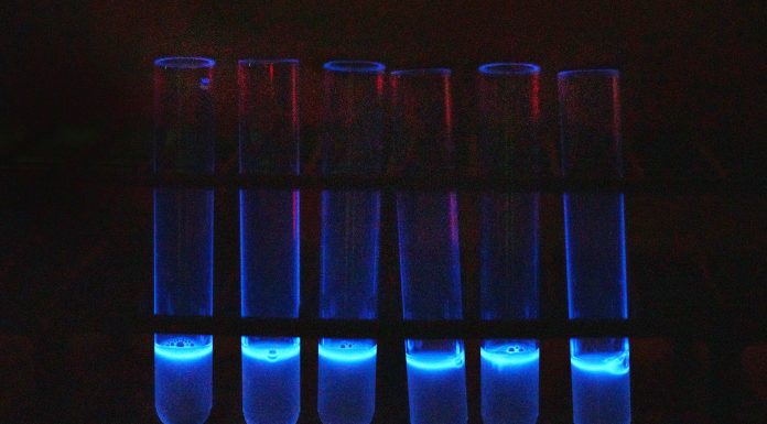 New assay accelerates E. coli testing course of