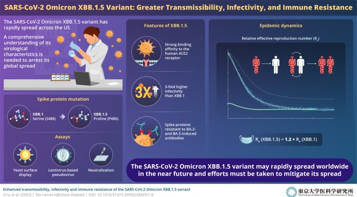 SARS-CoV-2 omicron XBB.1.5 variant is very transmissible and infectious, research reveals